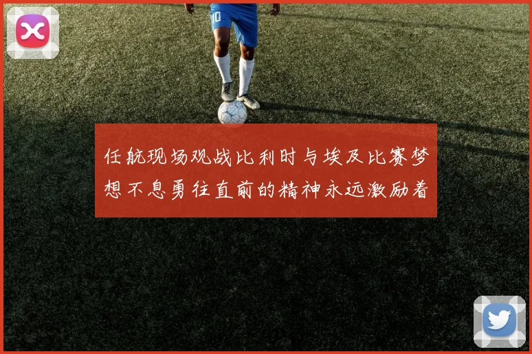 任航现场观战比利时与埃及比赛梦想不息勇往直前的精神永远激励着我们